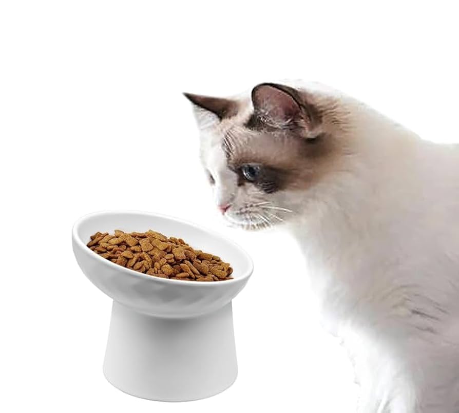 【エトねこ】肺皿 Amazon | Vevesoas 猫用フードボウル 陶器製 猫 皿 食器 15度の